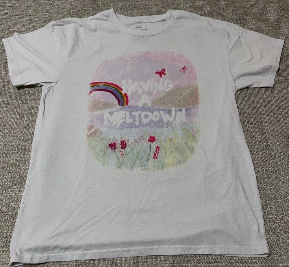IML Isaac Morris Having a Meltdown T Shirt Mens L Rainbow Cottagecore